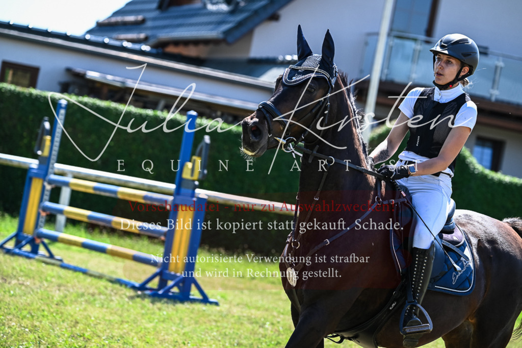 DSC_1116 | Pferde- und Turnierfotografie in Westsachsen. Pferdeportraits, Auftragszeichnungen und intuitive Kunst.