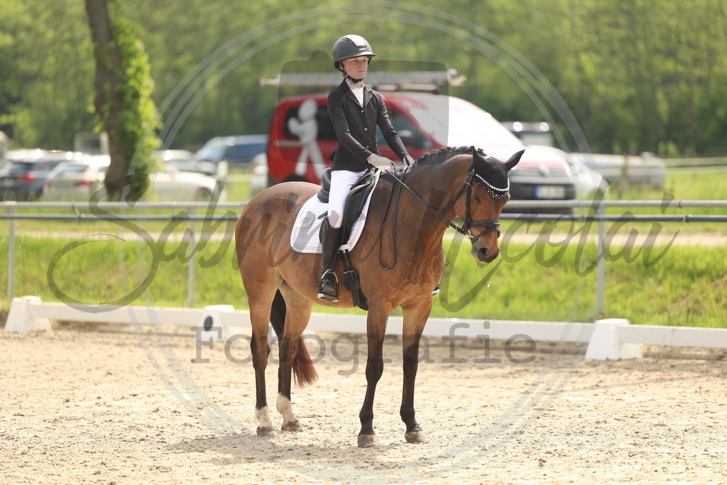 994A6874 | sabrinanicolaifotografie - Realisiert mit Pictrs.com