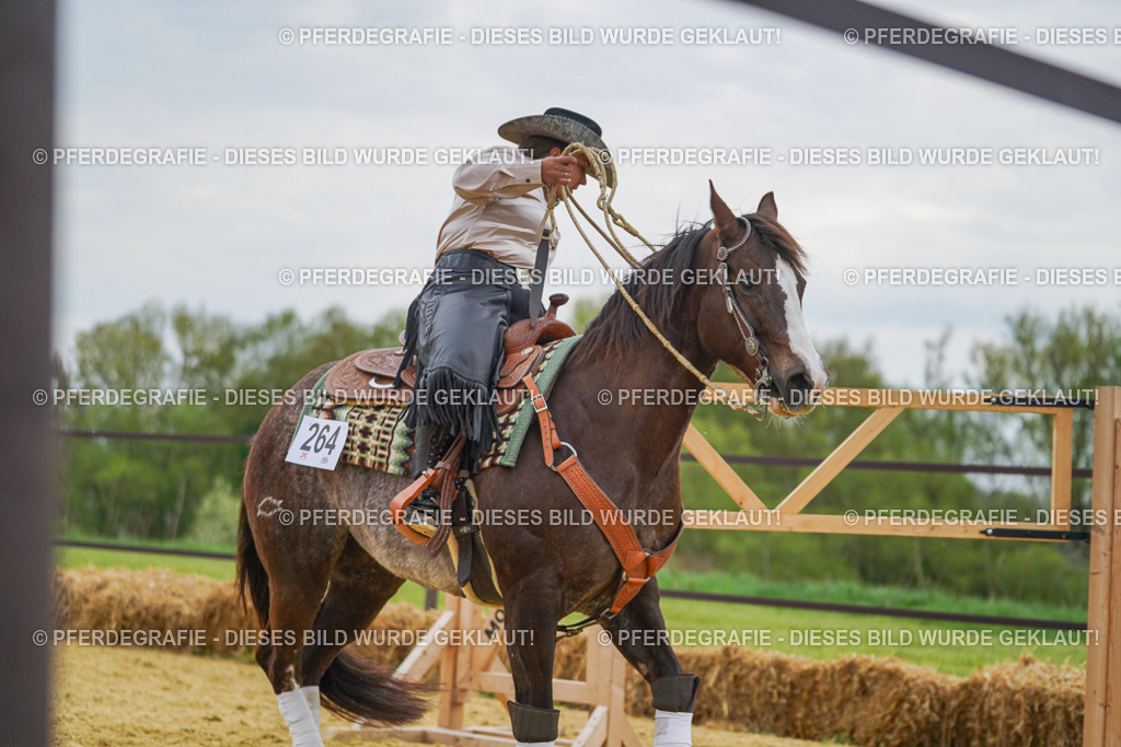 DSC07379 | Pferdegrafie