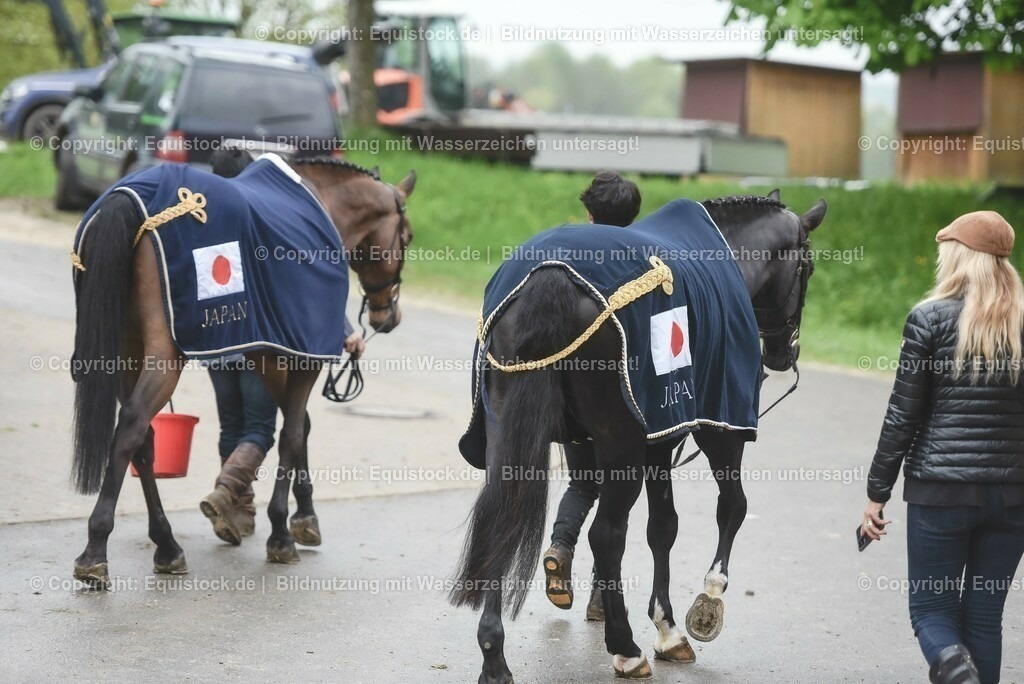 20230514_Impressionen_0186 | equistock