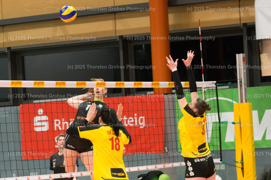 VBL VFB SUHL vs. LADIES IN BLACK AACHEN | Aachen in SCHWARZ gegen Suhl in GELB; VBL VFB SUHL vs. LADIES IN BLACK AACHEN, Volleyball-Bundesliga Frauen am 03.02.2018 in der Multihalle in Meiningen, (Deutschland) - Realisiert mit Pictrs.com