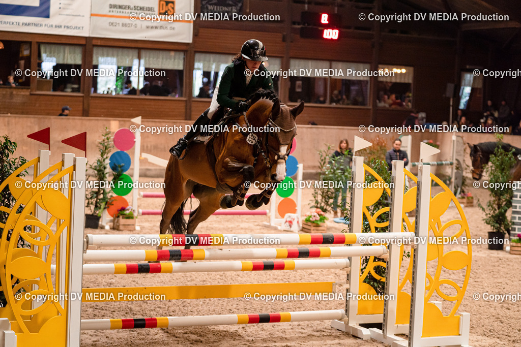 Springen Tag 2-694 | dv-media-shop - Realisiert mit Pictrs.com