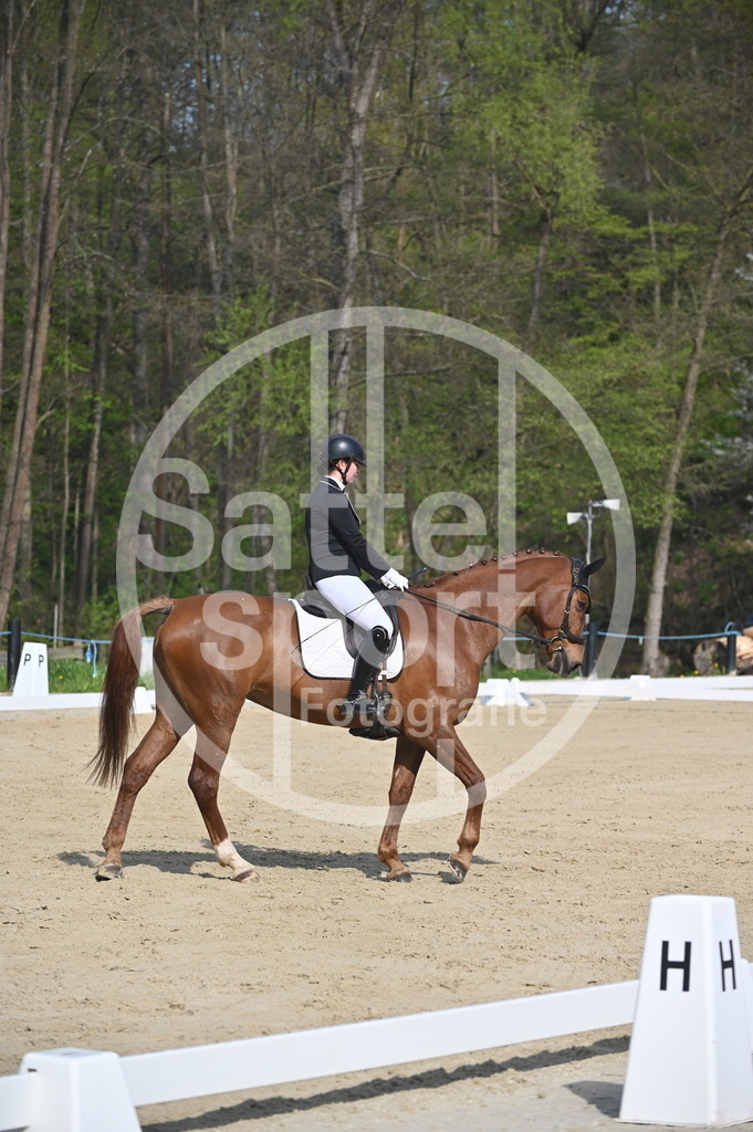 DSC_0434 | sattelsport - Realisiert mit Pictrs.com