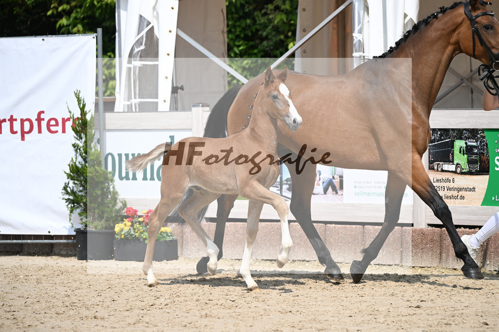 Arezzo Man x Zinedream_HF_Lohmiller_12250388 | hf-fotografie - Realisiert mit Pictrs.com