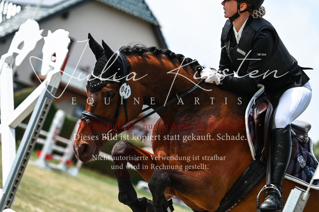 DSC_9485 | Pferde- und Turnierfotografie in Westsachsen. Pferdeportraits, Auftragszeichnungen und intuitive Kunst.