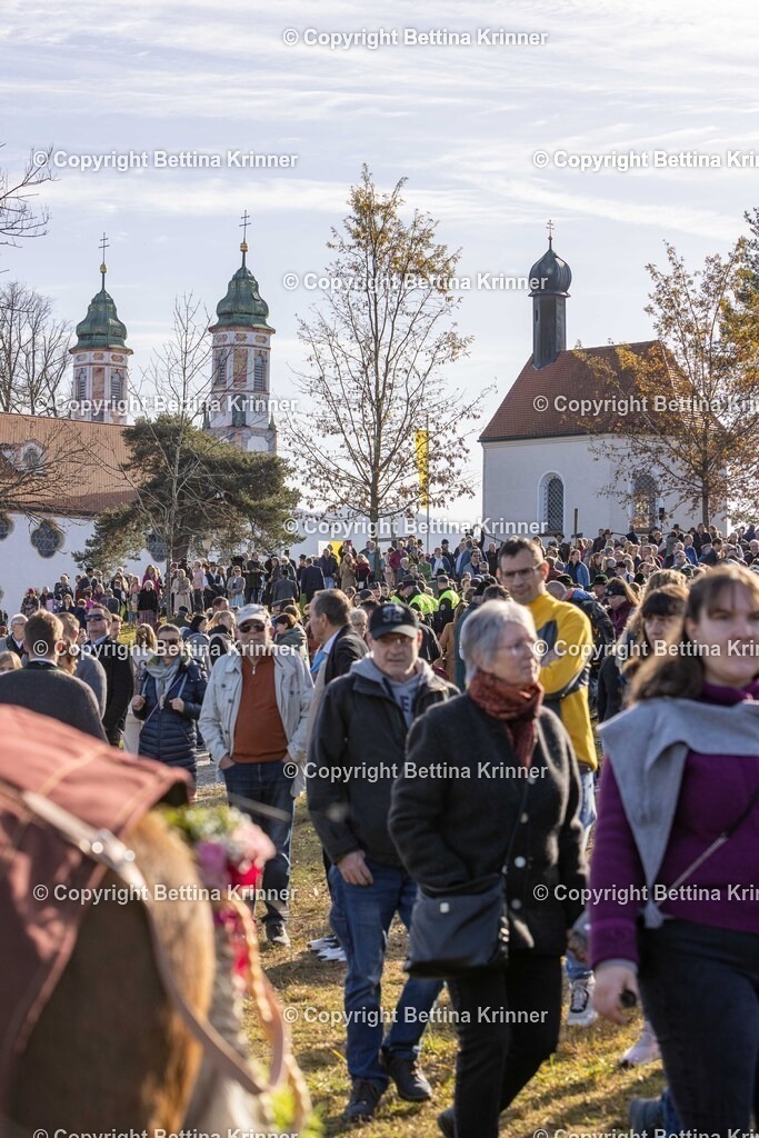 LBT24-1043 | foto-bettina-krinner - Realisiert mit Pictrs.com