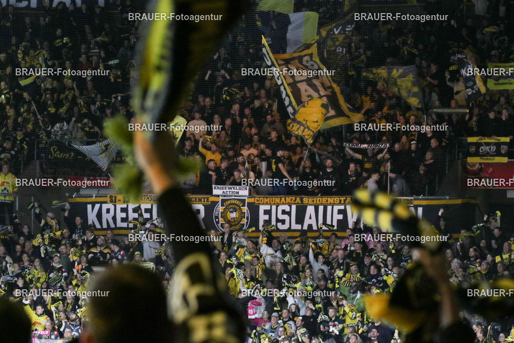 02.11.2025: DEL2  Krefeld Pinguine - Eispiraten Crimmitschau | Krefeld, Deutschland, 02.11.2025: Die Fans der Krefeld Pingune während des DEL2-Spiels zwischen Krefeld Pinguine - Eispiraten Crimmitschau am 02.11. 2025 in der Yayla-Arena in Krefeld, Deutschland. (Foto Ralph Görtz / Brauer-Fotoagentur)