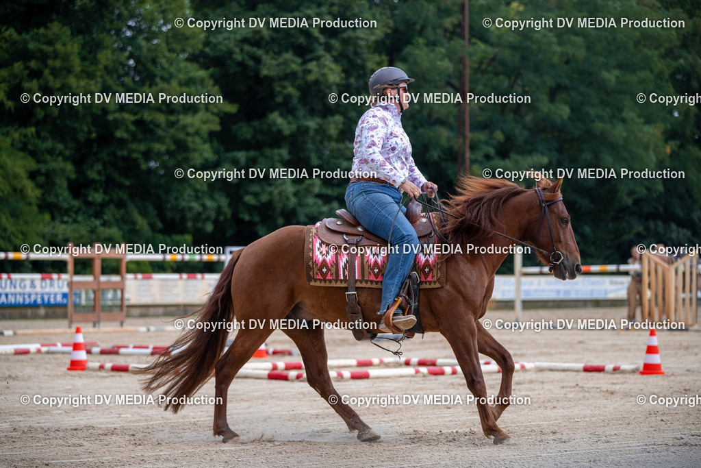 ZS2_3811 | dv-media-shop - Realisiert mit Pictrs.com