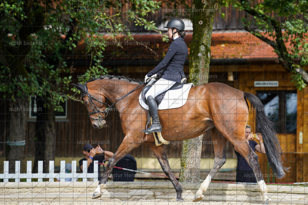 20230826-FAH05086 | Forstinning, 2023, Dressurturnier, Turniersportbilder, Turnierfotografen Bayern, Fotoagentur Herrmann, Reitsportfotografie, Turnierbilder