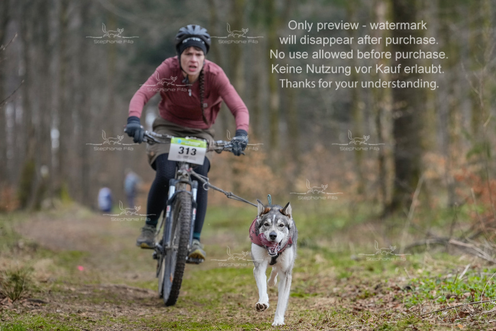 BikekurzSa-132 | stephaniefillaphotographie - Realisiert mit Pictrs.com