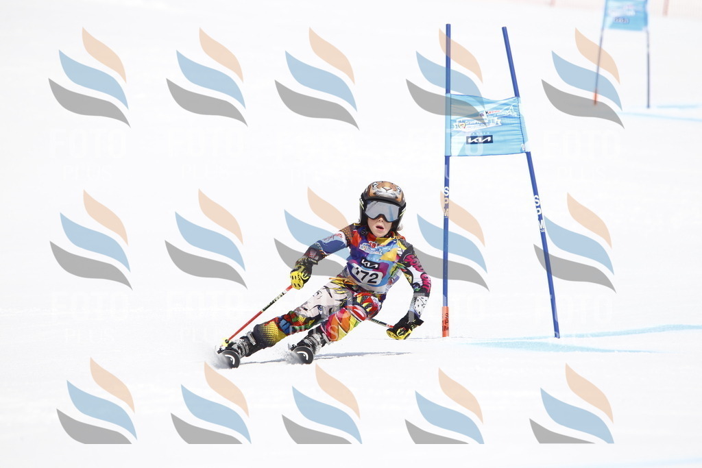 _U3G4540 | holidayphoto