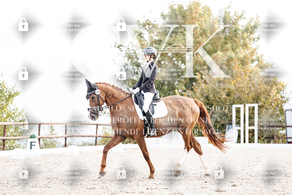 CK900526 | Turnierfotografie Pferdefotografie Trier Rheinland-Pfalz Pferdesport Reitsport Tierfotografie Sportfotografie Pferdevideo Pferdevideografie Equestrianvideography equestrianphotography  - Realisiert mit Pictrs.com