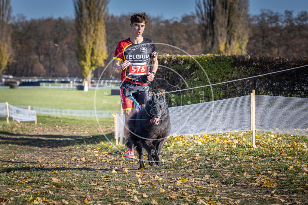 CaniXpix_DV3A8969 | Hundefotografie, Tierfotograf, Pfotenfotografie, Fotoshooting Hund, Hunde Portrait, Hundesport, Hundeportraits, Heideshooting, Hunde, Sportfotograf, Hundefotograf, Turnierhundsport, THS,  - Realisiert mit Pictrs.com