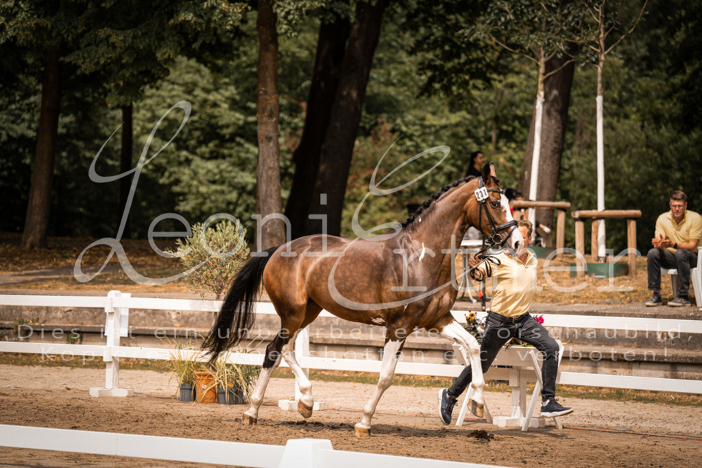 3.Fr00169 | Leoni Ertmer Photography - Realisiert mit Pictrs.com
