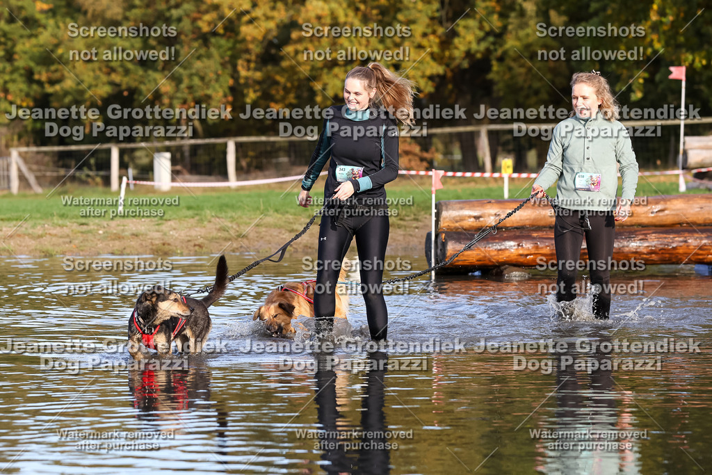 Dog Paparazzi - Strongdog 10-25-8380 | Dog Paparazzi Jeanette Grottendiek Fotografie & Videografie - Realisiert mit Pictrs.com