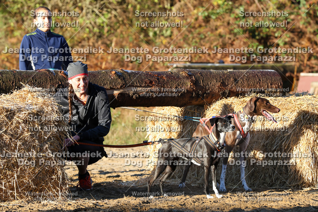 Dog Paparazzi - Strongdog 10-25-909 | Dog Paparazzi Jeanette Grottendiek Fotografie & Videografie - Realisiert mit Pictrs.com