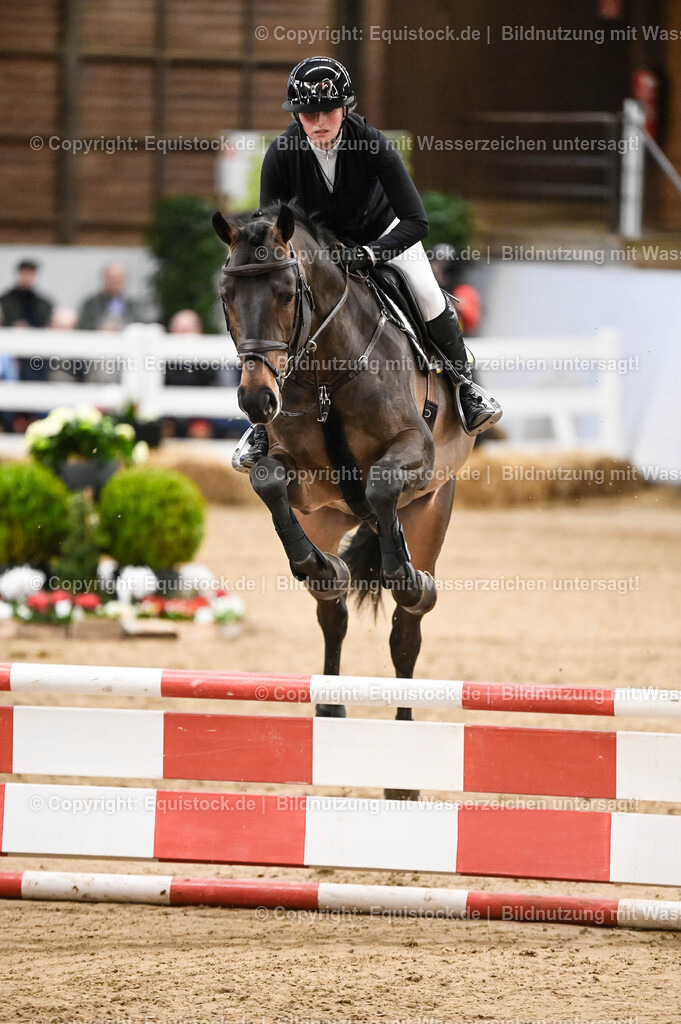 20260307_Hengstvorstellung-Marbach_0124 | equistock