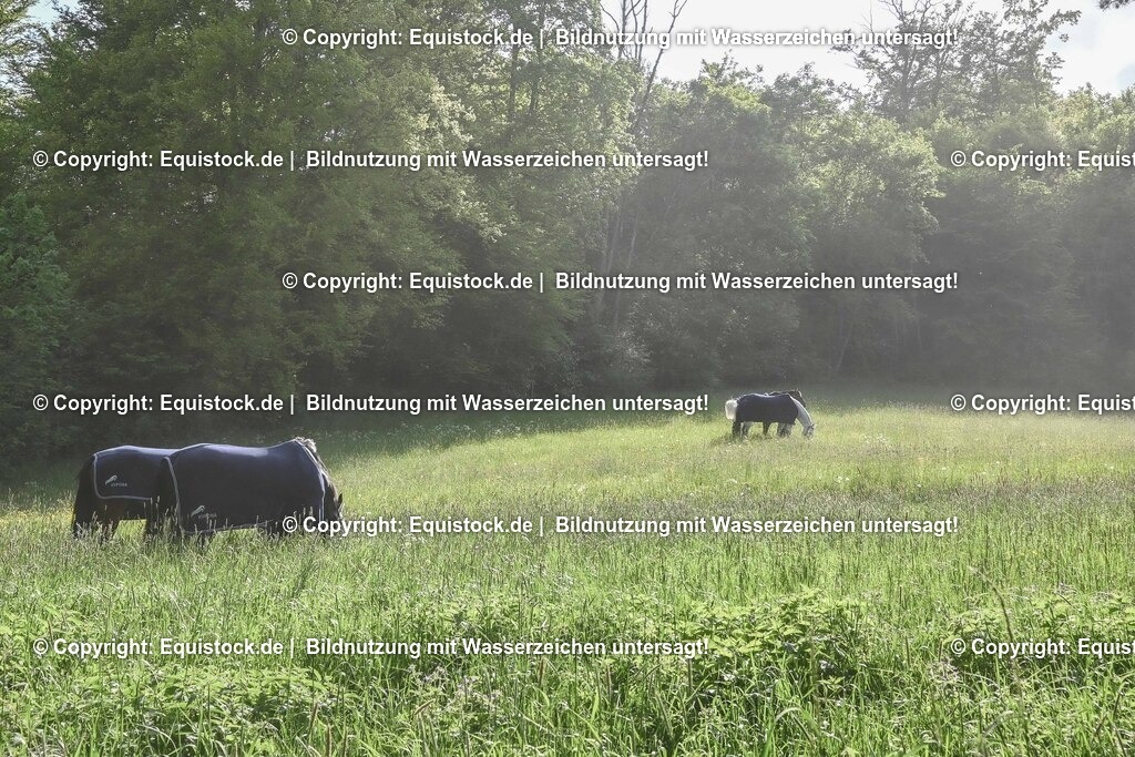 TS_20250517_Impressionen_0093 | Foto: Thomas Hartig