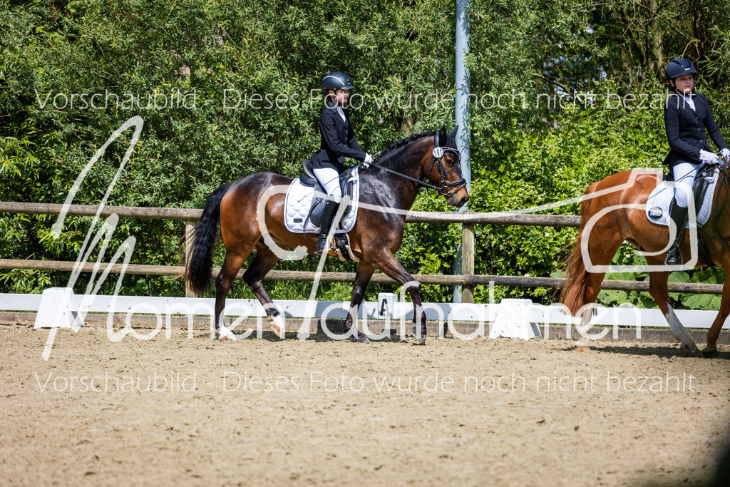 Donop24-RWB-001 | MomenTaufnahmen Pferdesportfotos