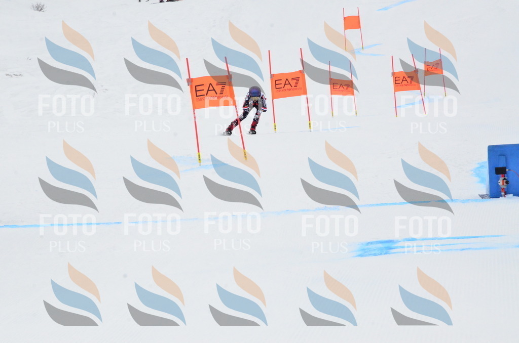 _ELE3582 | holidayphoto