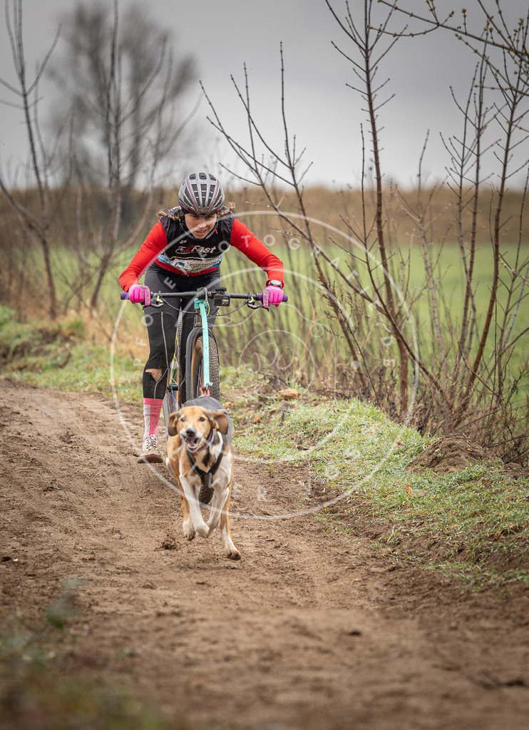 DV3A9141 | Hundefotografie, Tierfotograf, Pfotenfotografie, Fotoshooting Hund, Hunde Portrait, Hundesport, Hundeportraits, Heideshooting, Hunde, Sportfotograf, Hundefotograf, Turnierhundsport, THS,  - Realisiert mit Pictrs.com