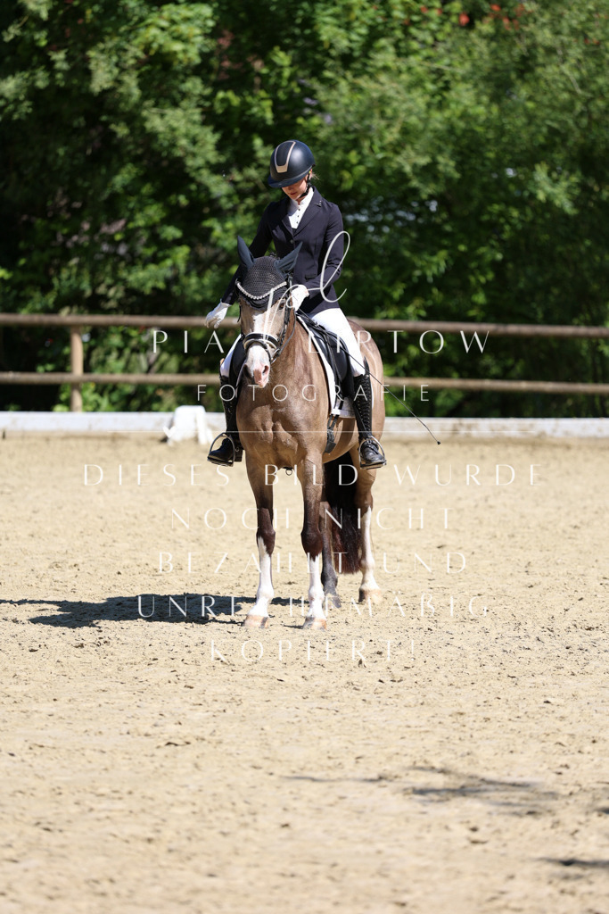 IMGS0768 | pl-fotografie