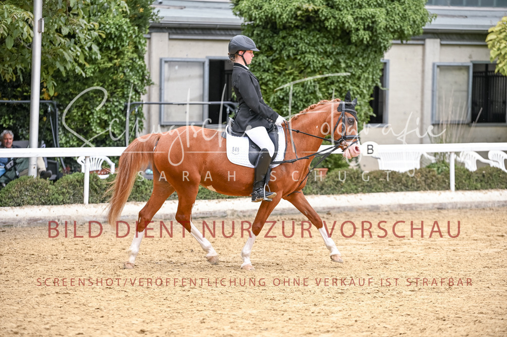 Schugtsche-Aluta25-44.DresssurreiterWB-20 | Schugtsche Fotografie - Realisiert mit Pictrs.com