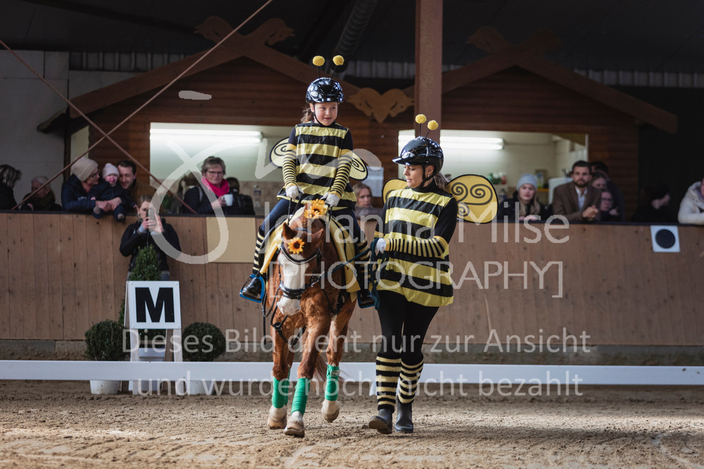 250316_HF-Schwm_Fuehrzuegel-126 | Deine schönsten Turniermomente als professionelle Fotos! Entdecke hochwertige Pferdesport-Fotografie im Online-Shop. Jetzt Fotos finden & bestellen!