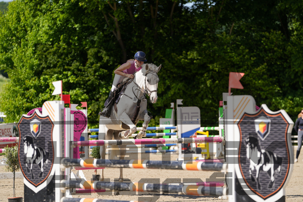 DSC02362 | Julian Held Fotografie - Realisiert mit Pictrs.com