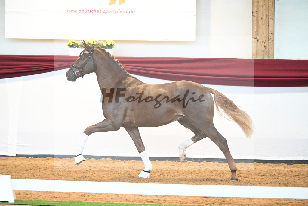 Kat-Nr. 74 v. Le Formidable_Maier_66220346 | hf-fotografie - Realisiert mit Pictrs.com