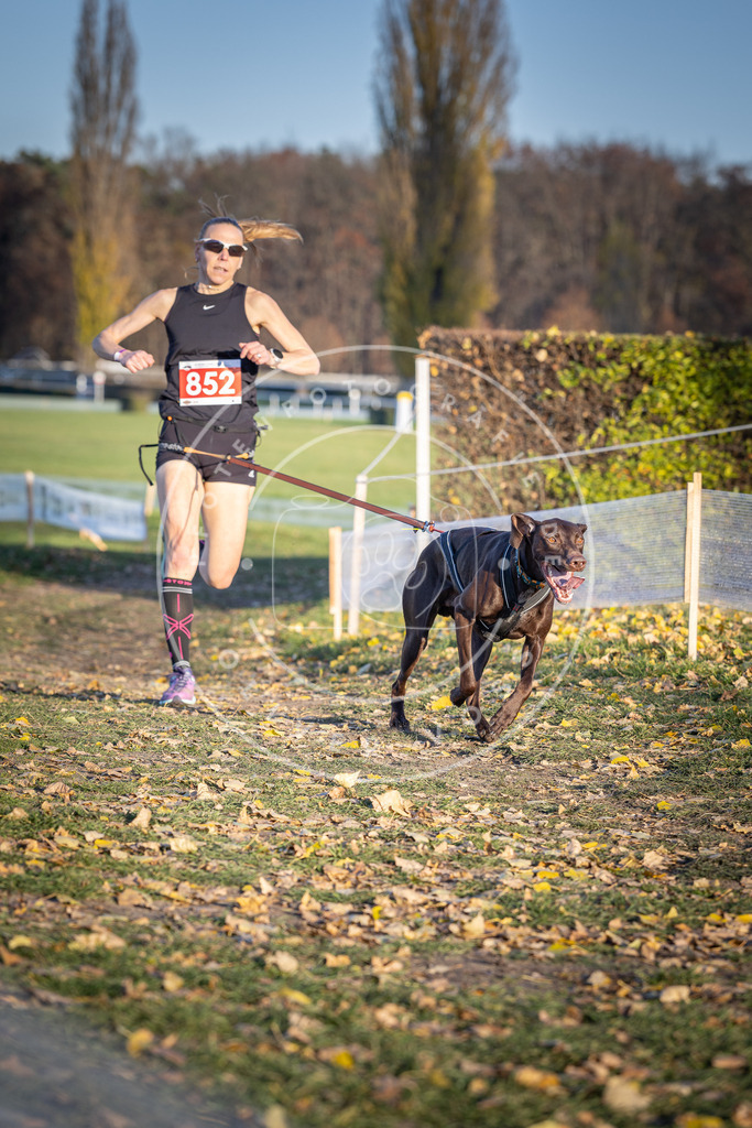 CaniXpix_DV3A3903 | Hundefotografie, Tierfotograf, Pfotenfotografie, Fotoshooting Hund, Hunde Portrait, Hundesport, Hundeportraits, Heideshooting, Hunde, Sportfotograf, Hundefotograf, Turnierhundsport, THS,  - Realisiert mit Pictrs.com