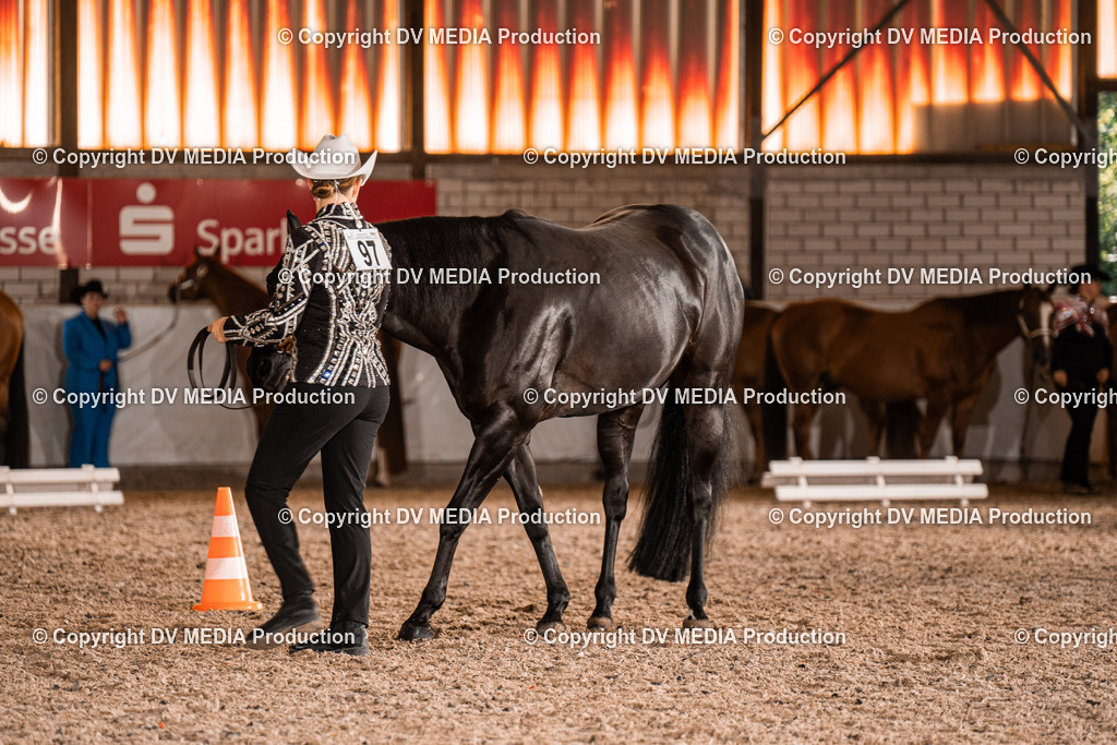 ZH100114 | dv-media-shop - Realisiert mit Pictrs.com