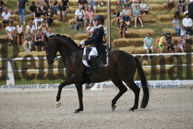 Birkhof_2022_GrandPrixSpecial_Nicole Isser_DiCaprio 4 (23) | Alle Fotos der Reiterjournal Fotografin Doris Matthaes im Reiterjournal Online-Fotoshop. - Realisiert mit Pictrs.com