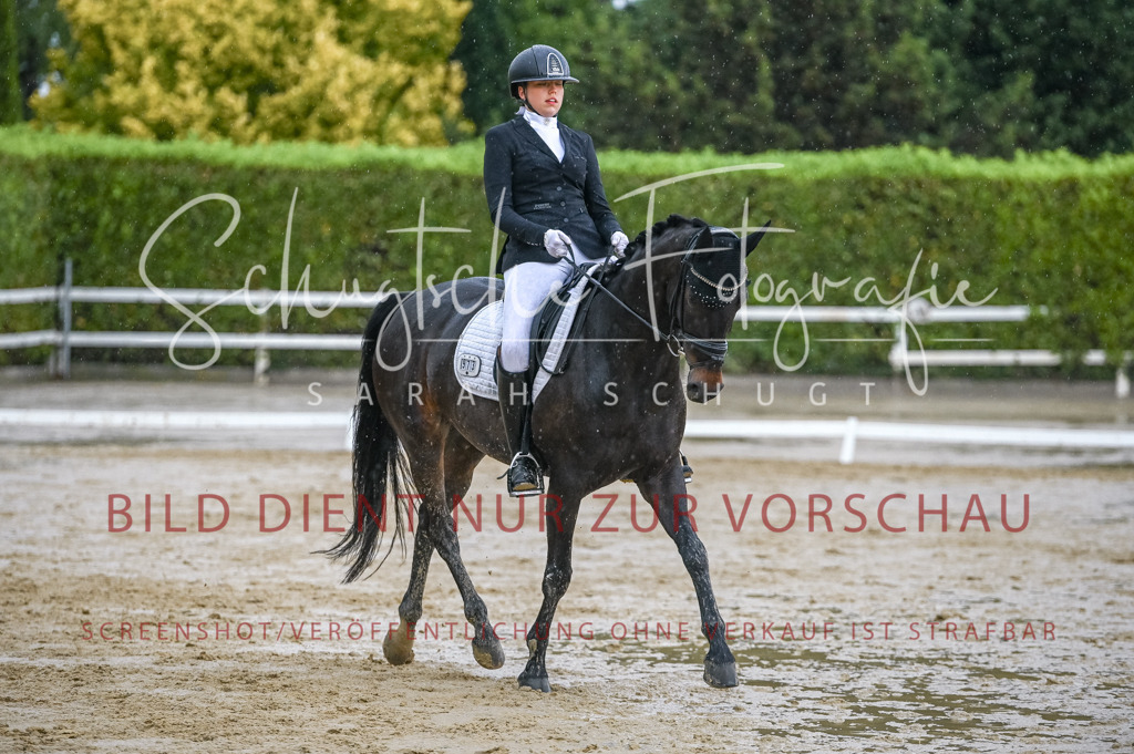 Schugtsche-Aluta25-55.Dressurreiterprf.L1Tr-301 | Schugtsche Fotografie - Realisiert mit Pictrs.com