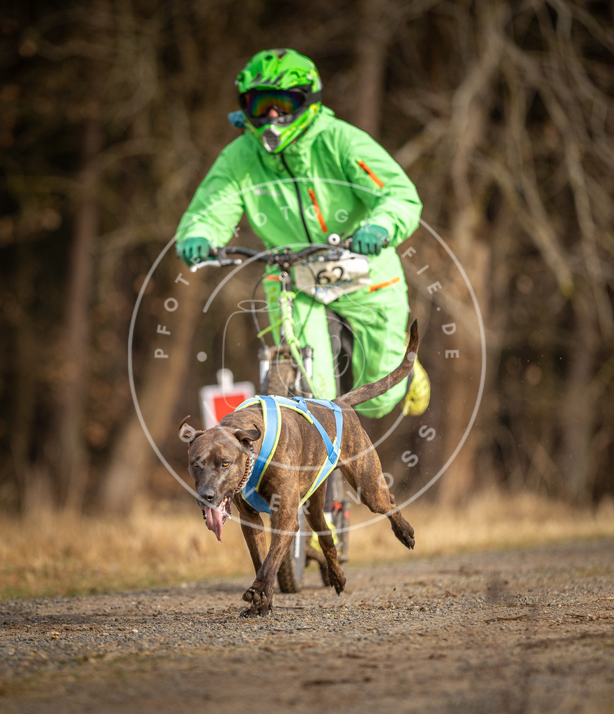 DV3A3546 | Hundefotografie, Tierfotograf, Pfotenfotografie, Fotoshooting Hund, Hunde Portrait, Hundesport, Hundeportraits, Heideshooting, Hunde, Sportfotograf, Hundefotograf, Turnierhundsport, THS,  - Realisiert mit Pictrs.com