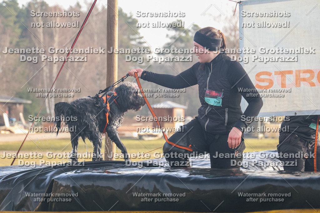 Dog Paparazzi - SD North 0326 900930-162 | Dog Paparazzi Jeanette Grottendiek Fotografie & Videografie - Realisiert mit Pictrs.com