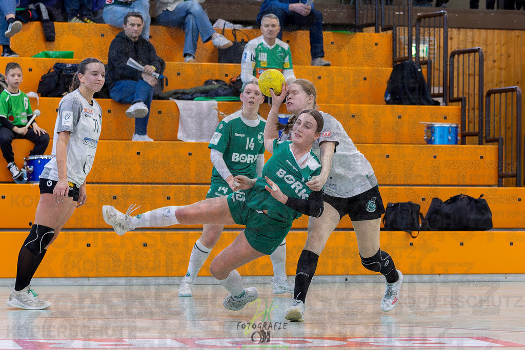 Jugendbundesliga wJA, Pokalrunde, HSG Kleenheim/Langgöns - Frisch Auf Göppingen | Jugendbundesliga wJA, Pokalrunde, HSG Kleenheim/Langgöns - Frisch Auf Göppingen am 28.02.2026 in Oberkleen (Weidig-Halle)Photo © 2026 - Jörg Heinrich - Realisiert mit Pictrs.com