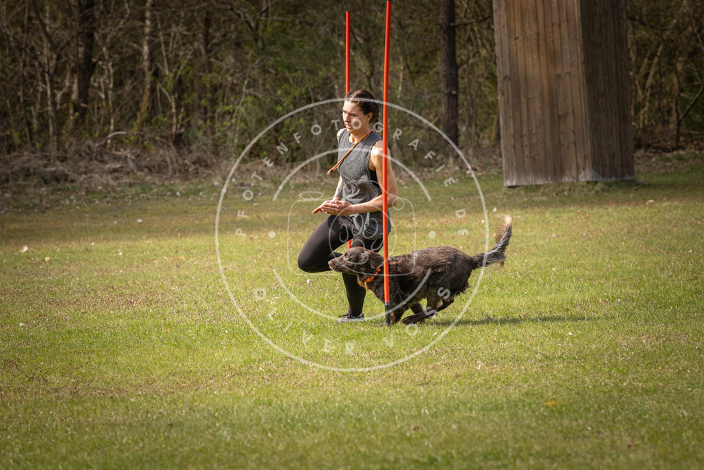 Pfotenfotografie_DV3A7222 | Hundefotografie, Tierfotograf, Pfotenfotografie, Fotoshooting Hund, Hunde Portrait, Hundesport, Hundeportraits, Heideshooting, Hunde, Sportfotograf, Hundefotograf, Turnierhundsport, THS,  - Realisiert mit Pictrs.com