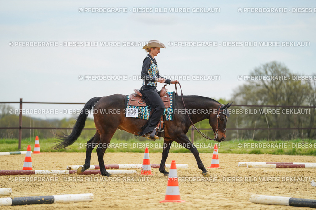 DSC03181 | Pferdegrafie