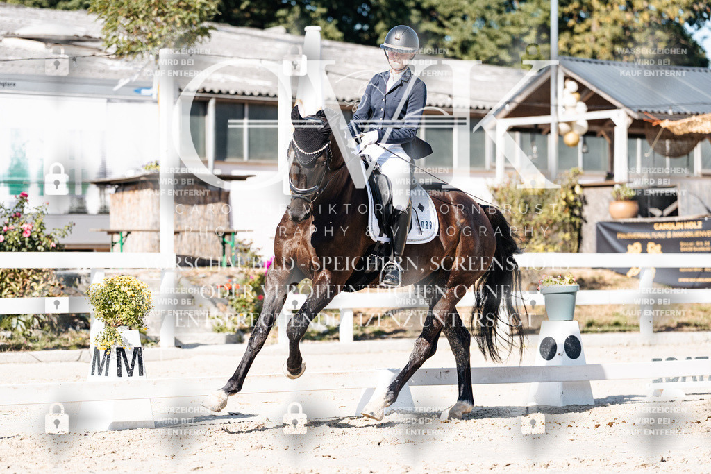 CK907836 | Turnierfotografie Pferdefotografie Trier Rheinland-Pfalz Pferdesport Reitsport Tierfotografie Sportfotografie Pferdevideo Pferdevideografie Equestrianvideography equestrianphotography  - Realisiert mit Pictrs.com