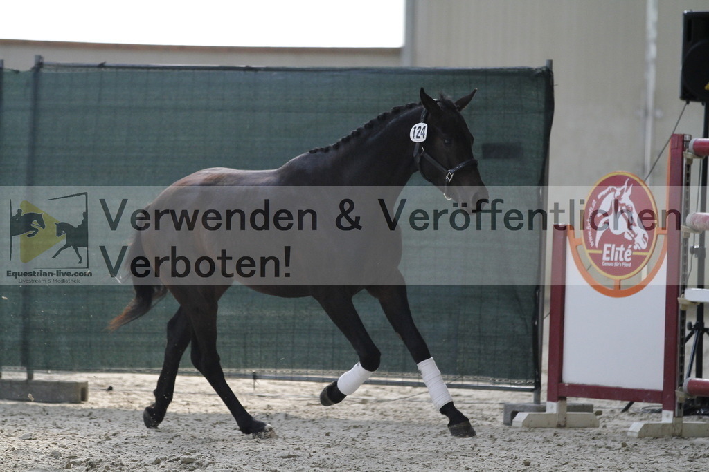 _MG_9686 | equestrian-live-com