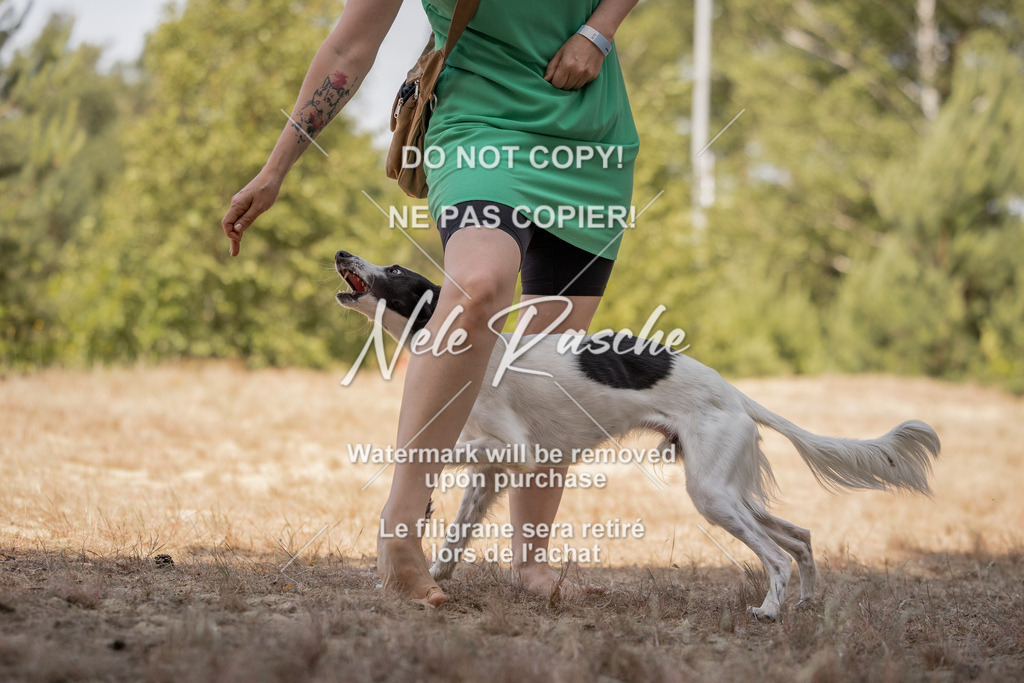 nelerasche_soDD2_430 | nelerasche