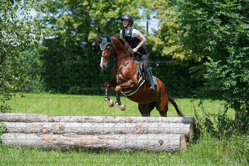 20240622-FAH06923 | Turnierfotografen Bayern, Reitsportbilder aus dem Geländekurs mit Felix Etzel auf dem Gut Waitzacker 2024