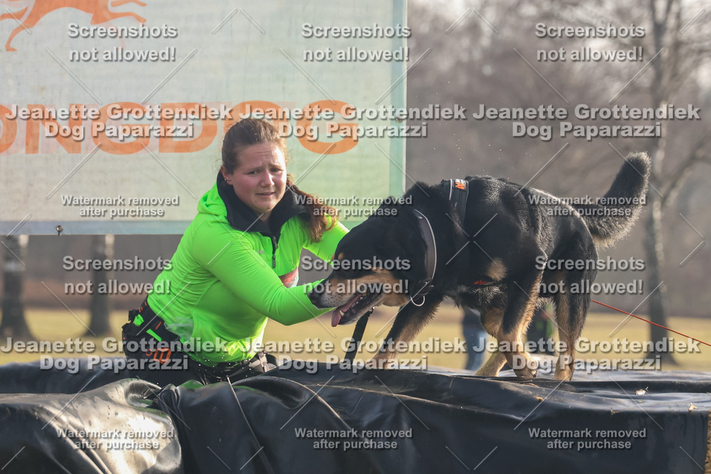 Dog Paparazzi - SD North 0326 900930-252 | Dog Paparazzi Jeanette Grottendiek Fotografie & Videografie - Realisiert mit Pictrs.com