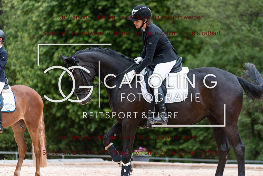 DSC_7109 | Turnierfotografin Carolin Gieschke,Reitsport Turnierfotografie Carolin G Fotografie | Turnierfotos aus Kirchheim/Teck, Esslingen, Stuttgart und dem Bodenseekreis