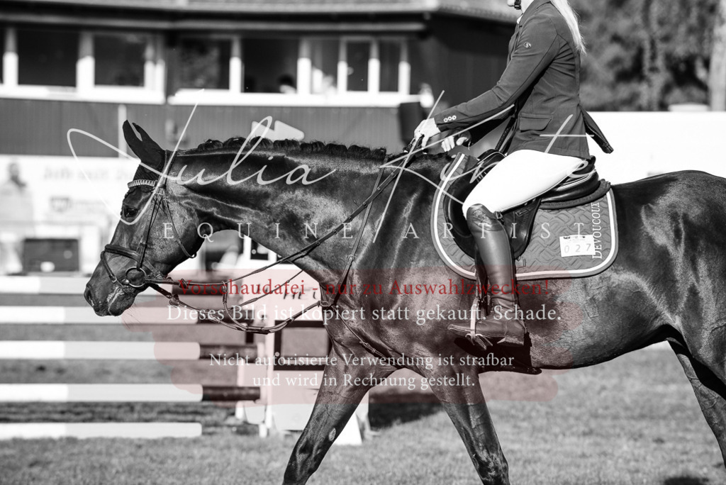 DSC_4957 | Pferde- und Turnierfotografie in Westsachsen. Pferdeportraits, Auftragszeichnungen und intuitive Kunst.