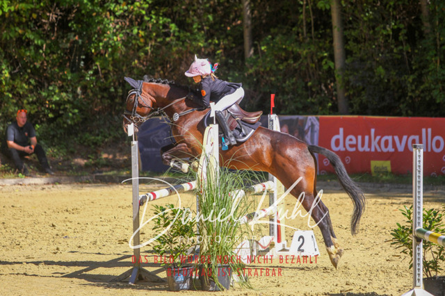 DKP43082 | Turniersportfotografie; Pferdefotografie; Dressurfotografie