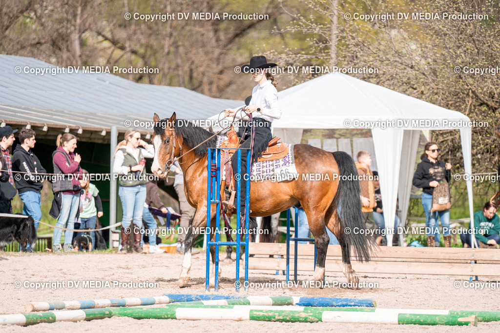 BAL02697 | dv-media-shop - Realisiert mit Pictrs.com