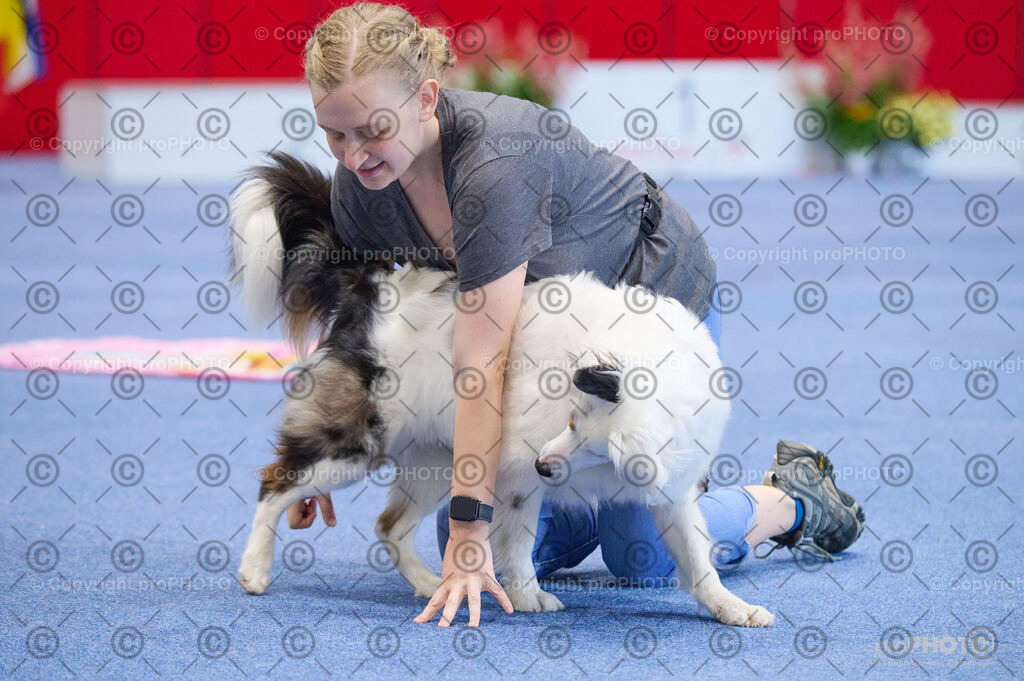 202406_ÖKV-IHA-Tulln24_DSC_4485 | proPHOTO - Realisiert mit Pictrs.com