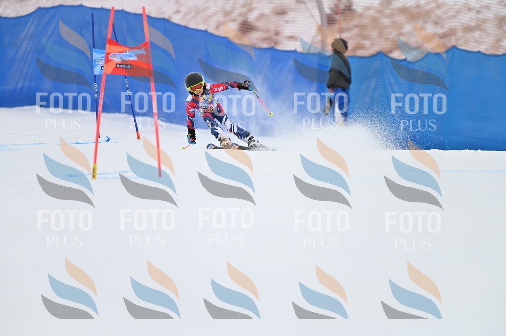 BGV_3131 | holidayphoto